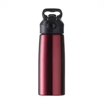 Squeeze Inox 700ml