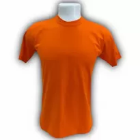 Camiseta Básica, manga curta, Penteada Fio 30 - Colorida