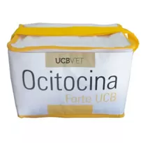 Bolsa Térmica Personalizada