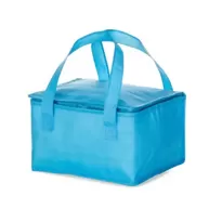 DJB18523 Bolsa Térmica 10 Litros