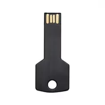 Pen Drive Chave 4GB/8GB